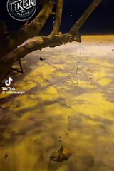 Zdjęcie użytkownika Raben50