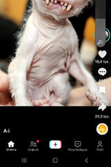 Zdjęcie użytkownika krzysztof2333