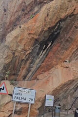 Foto utilizatorului XFIONNEX