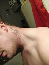 Foto utilizatorului pannn69