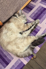 Benutzerfoto CzarownicaIzabela