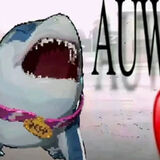 Foto utilizatorului duzy1571