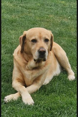 Photos KamilWozniak11