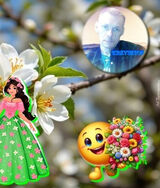 Fotka uživatele KrzysztofNamyslo