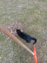 Zdjęcie użytkownika otx9