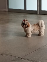 Fotka uživatele Lenosia