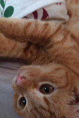 Zdjęcie użytkownikajnwys