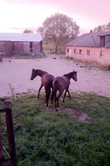 Zdjęcie użytkownika przeme723