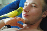 Photos Treiber