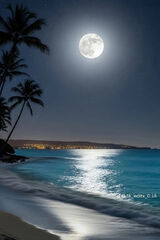 Photos hadj71350