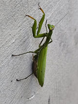 Фотография пользователя piotr1987poznan