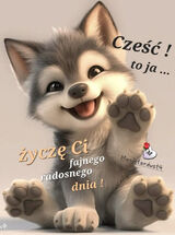 Zdjęcie użytkownika franek5677