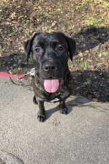 Zdjęcie użytkownika Swiezako