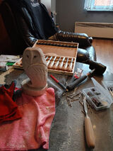 Fotka uživatele bokser4ko