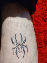 Photos Szymoneglarczyk