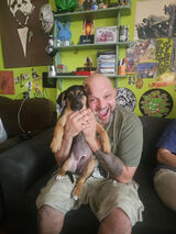 Фотография пользователя majkelodiangelo