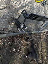 Zdjęcie użytkownika kolaborantt