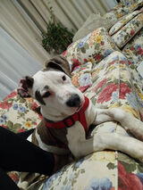 Zdjęcie użytkownika Guniaagunia