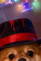 Zdjęcie użytkownika Grzechuu69