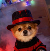 Benutzerfoto Grzechuu69