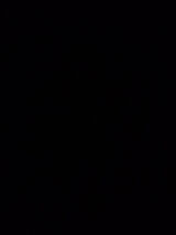 Foto utilizatorului Piotr2250