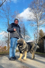 Zdjęcie użytkownika Daro290