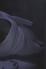 Zdjęcie użytkownika zjulia639