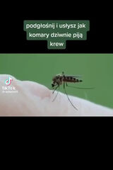 Fotka uživatele analFABETA666