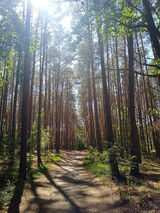 Zdjęcie użytkownika lakunio800