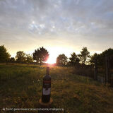 Foto utilizatorului marcinkucharski2