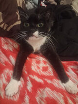 Zdjęcie użytkownika Galaxus