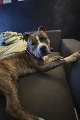 Foto pengguna Misiek8791