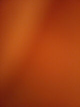 Fotka uživatele Kamil3210987