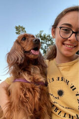 Фотография пользователя luisaschmidt091