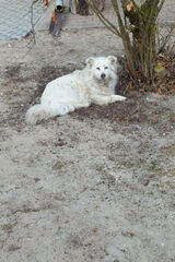 Zdjęcie użytkownika MateuszMateusz04