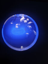 Fotka uživatele Bonzaj871