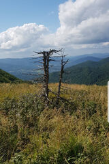 Фото користувача kafelkarzadam