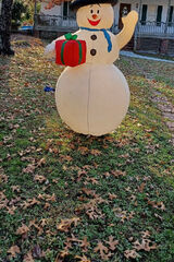 Zdjęcie użytkownika waltoberry