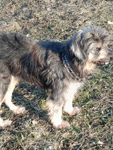 Fotka uživatele sandrapurzycka3536