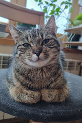 Zdjęcie użytkownika Elstachoo