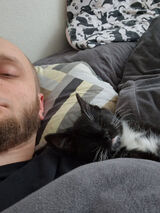 Foto utilizatorului Piotr332