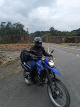 Foto utilizatorului brunimsieradzki64