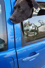 Foto utilizatorului przemekgogolok84