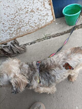 Zdjęcie użytkownika filipilowski982