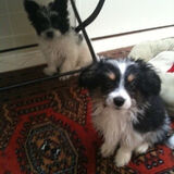 Zdjęcie użytkownika fredrickghazzel44