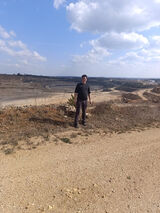 Foto utilizatorului bombalo