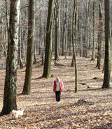 Fotka uživatele tomaszgorny52