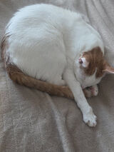 Фото користувача alisssaa