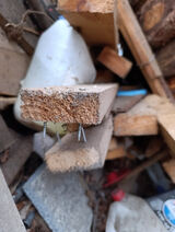 Zdjęcie użytkownika minionej1999