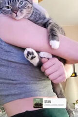 Фотография пользователя Nieedrzyj13